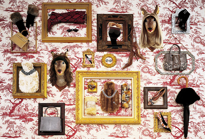 Visuel de photographies d'accessoires