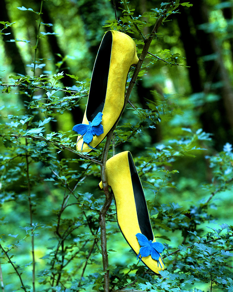 Photographie de chaussure