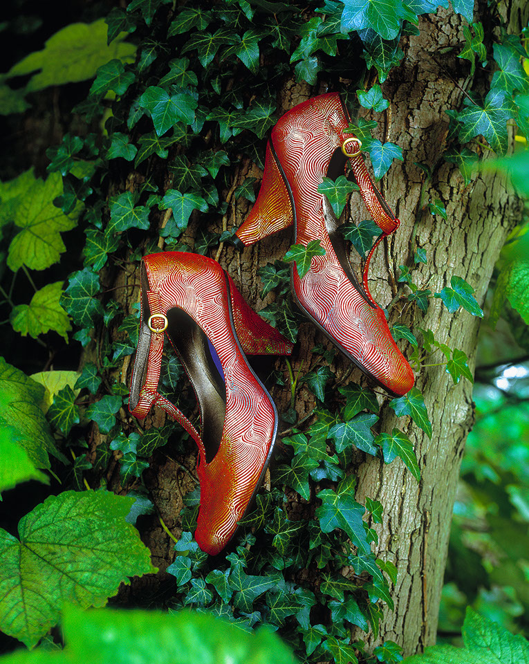 Photographies de chaussure